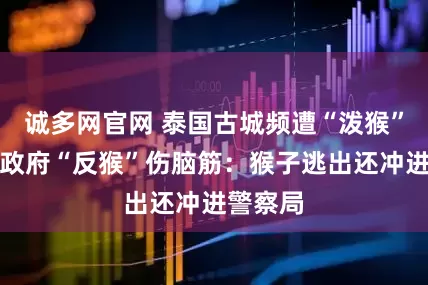 诚多网官网 泰国古城频遭“泼猴”袭击，政府“反猴”伤脑筋：猴子逃出还冲进警察局
