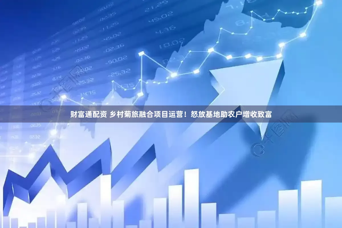 财富通配资 乡村菊旅融合项目运营！怒放基地助农户增收致富